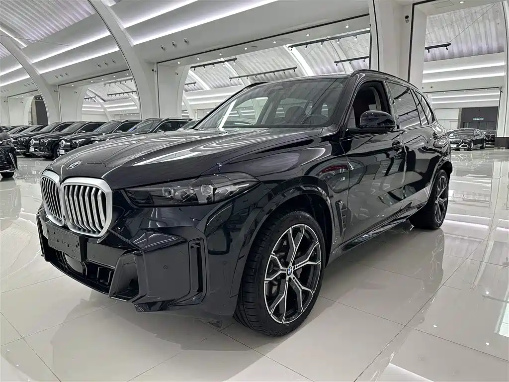 BMW X5 2023 xDrive 30Li Premium M Sport Black Night Package