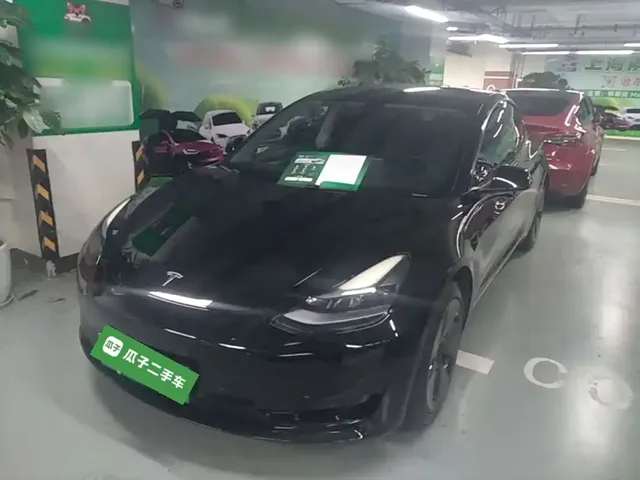 Tesla Model 3 2022 Model Rear-Wheel Drive Version