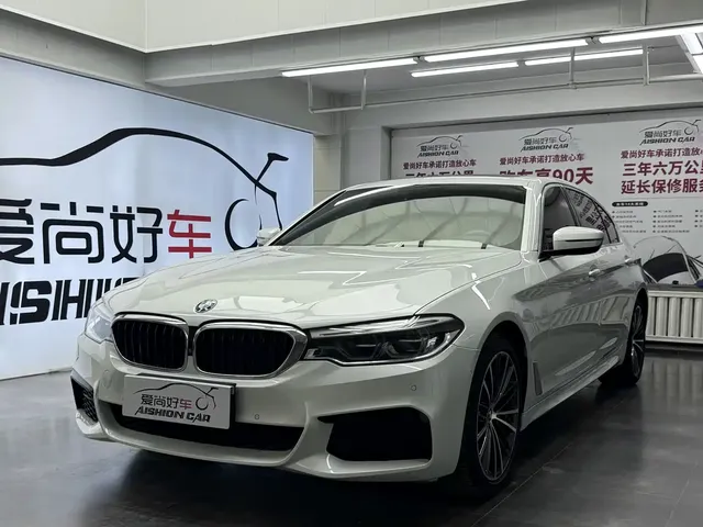 BMW 5 Series 2020 530Li Exclusive M Sport Package