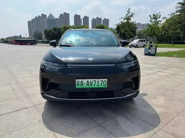 Leapmotor C11 2023 Pure Electric 500 Smart Edition