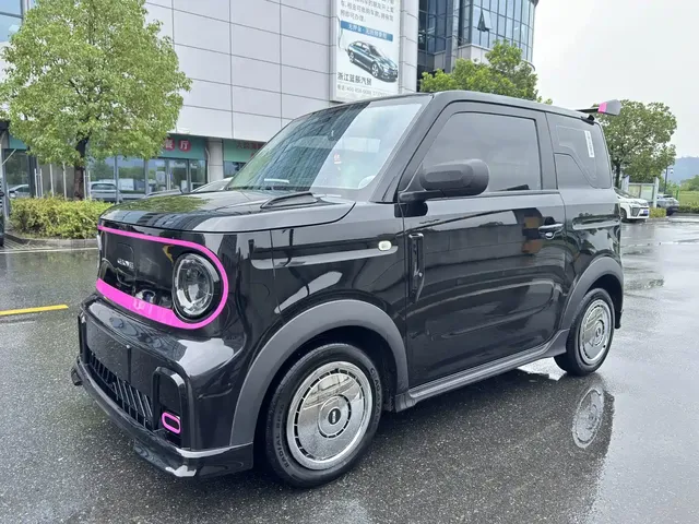 Geely Galaxy Panda 2024 200km Panda Kart