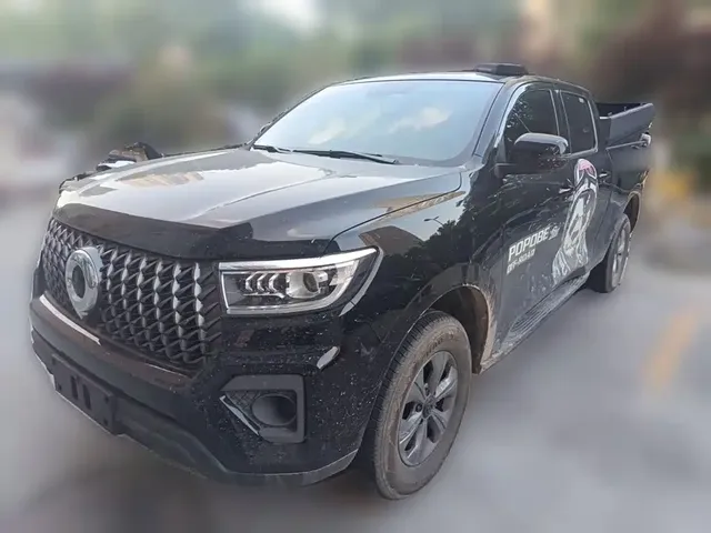 Great Wall Pao 2024 Model 2.4T Commercial Version Automatic Diesel 4WD Elite Type