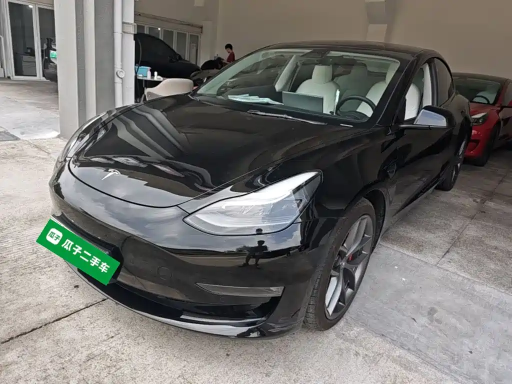 Tesla Model 3 2021 Performance High-Performance All-Wheel Drive