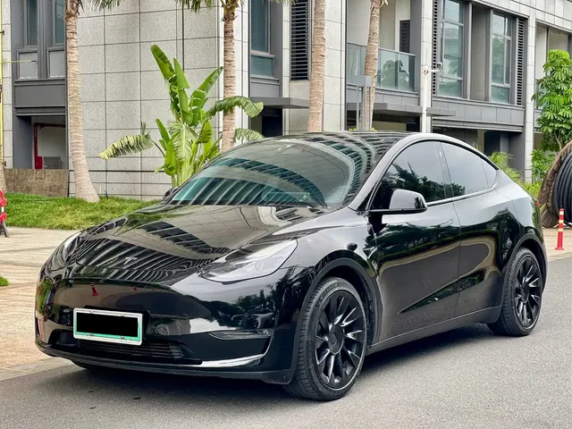 Tesla Model Y 2021 Standard Range Rear-Wheel Drive