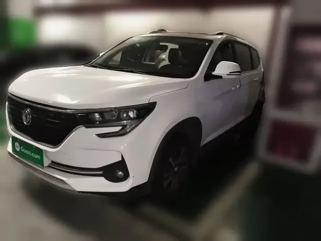 Dongfeng Fengxing T5 2021 1.6L Manual Comfort