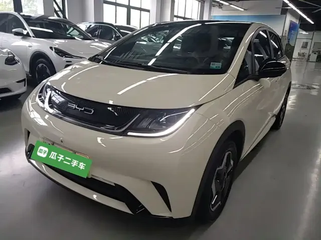 BYD Dolphin 2021 Model 405km Fashion Edition