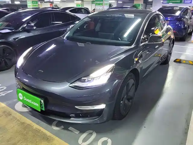 Tesla Model 3 (Import) 2019 Long Range RWD Version