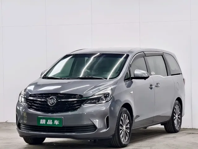 Buick GL8 2020 Land Business Class 652T Premium