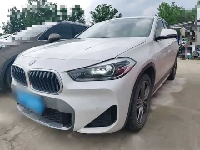 BMW X2 2020 sDrive25i Leading M Off-Road Package