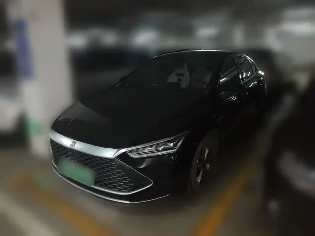 BYD Qin PLUS 2024 Glory Edition DM-i 55KM Leading