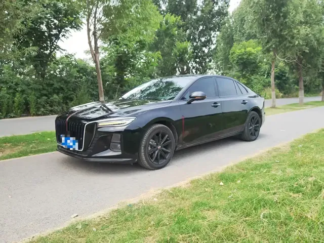 Hongqi H5 2025 2.0T Automatic Qixiang 500,000 Units Commemorative Edition