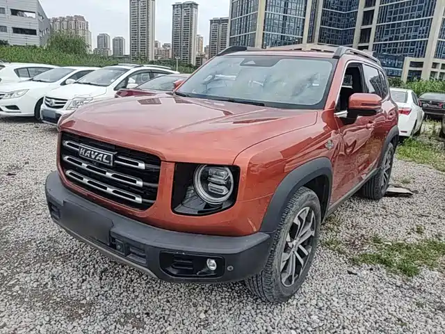 Haval Big Dog 2021 1.5T DCT 2WD Border Collie Edition