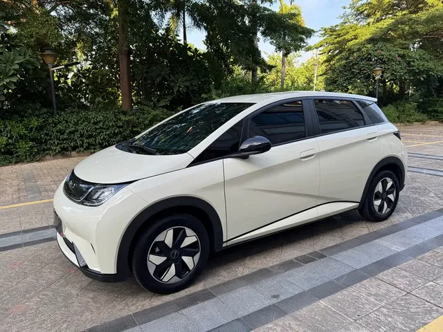BYD Dolphin 2025 420km Freedom Edition