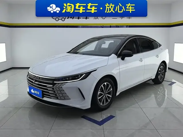 BYD Destroyer 05 2024 Glory Edition DM-i 55KM Luxury