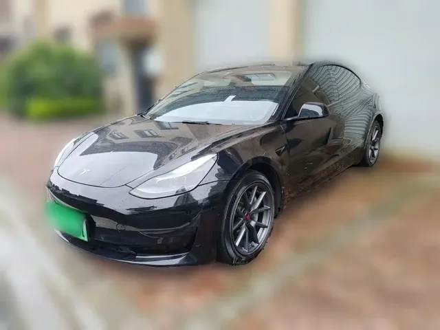 Tesla Model 3 2022 Model Rear-Wheel Drive Version