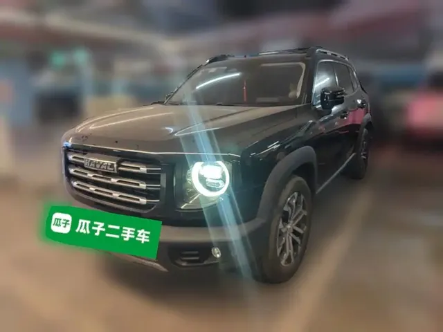Haval Big Dog 2021 1.5T DCT 2WD Border Collie - Wangcai Edition