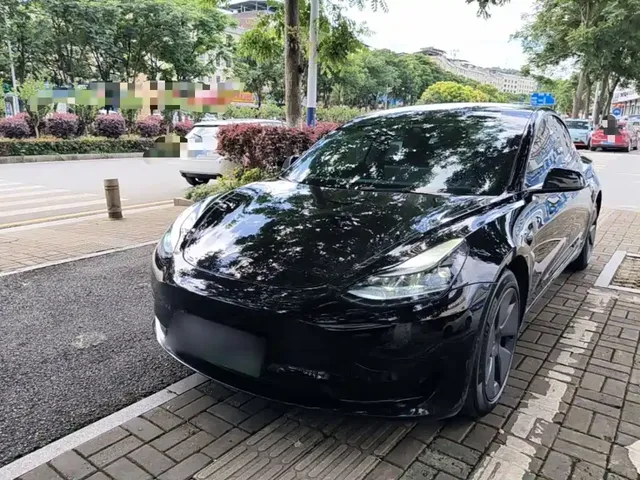 Tesla Model 3 2022 Model Rear-Wheel Drive Version