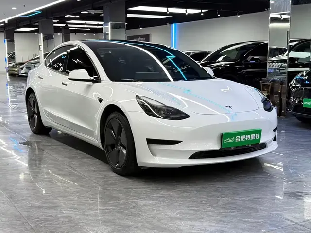 Tesla Model 3 2022 Model Rear-Wheel Drive Version