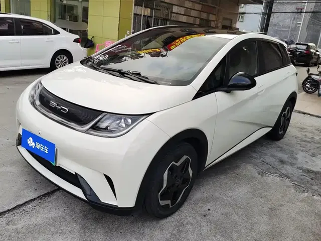 BYD Dolphin 2021 Model 405km Fashion Edition
