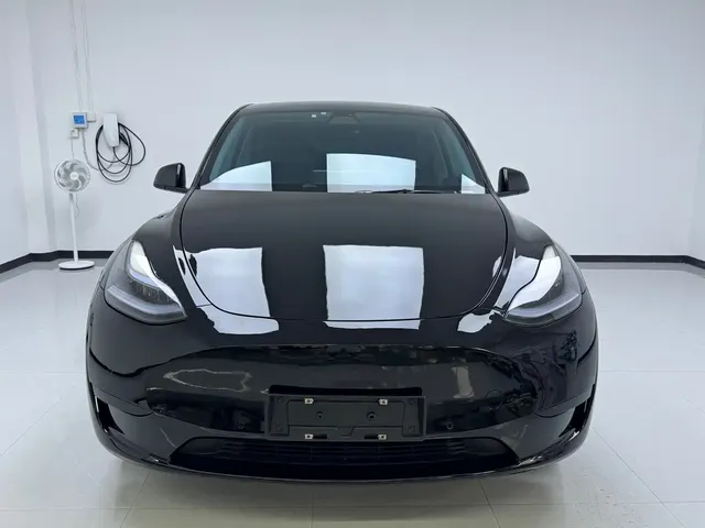 Tesla Model Y 2022 Rear-Wheel Drive Version