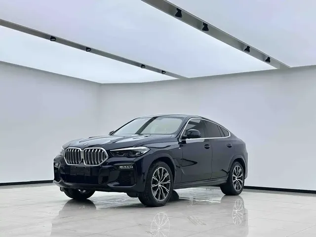 BMW X6 2020 xDrive30i M Sport Package