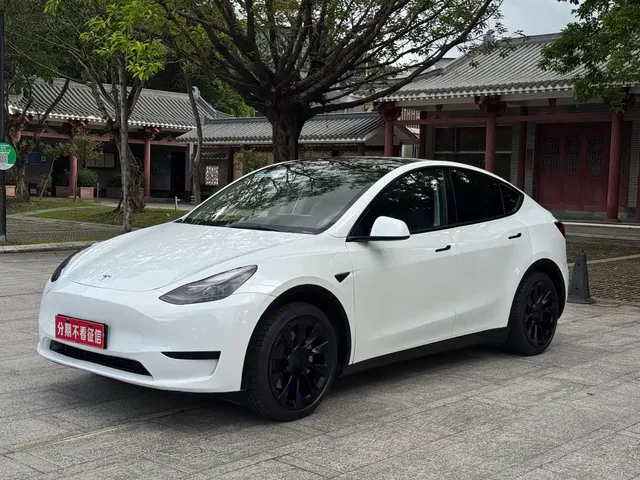Tesla Model Y 2022 Rear-Wheel Drive Version