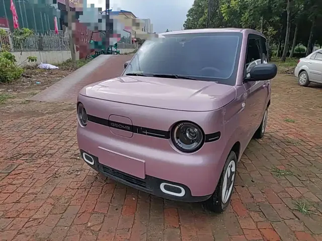 Geely Galaxy Panda 2025 Panda mini 210km Vitality Bear