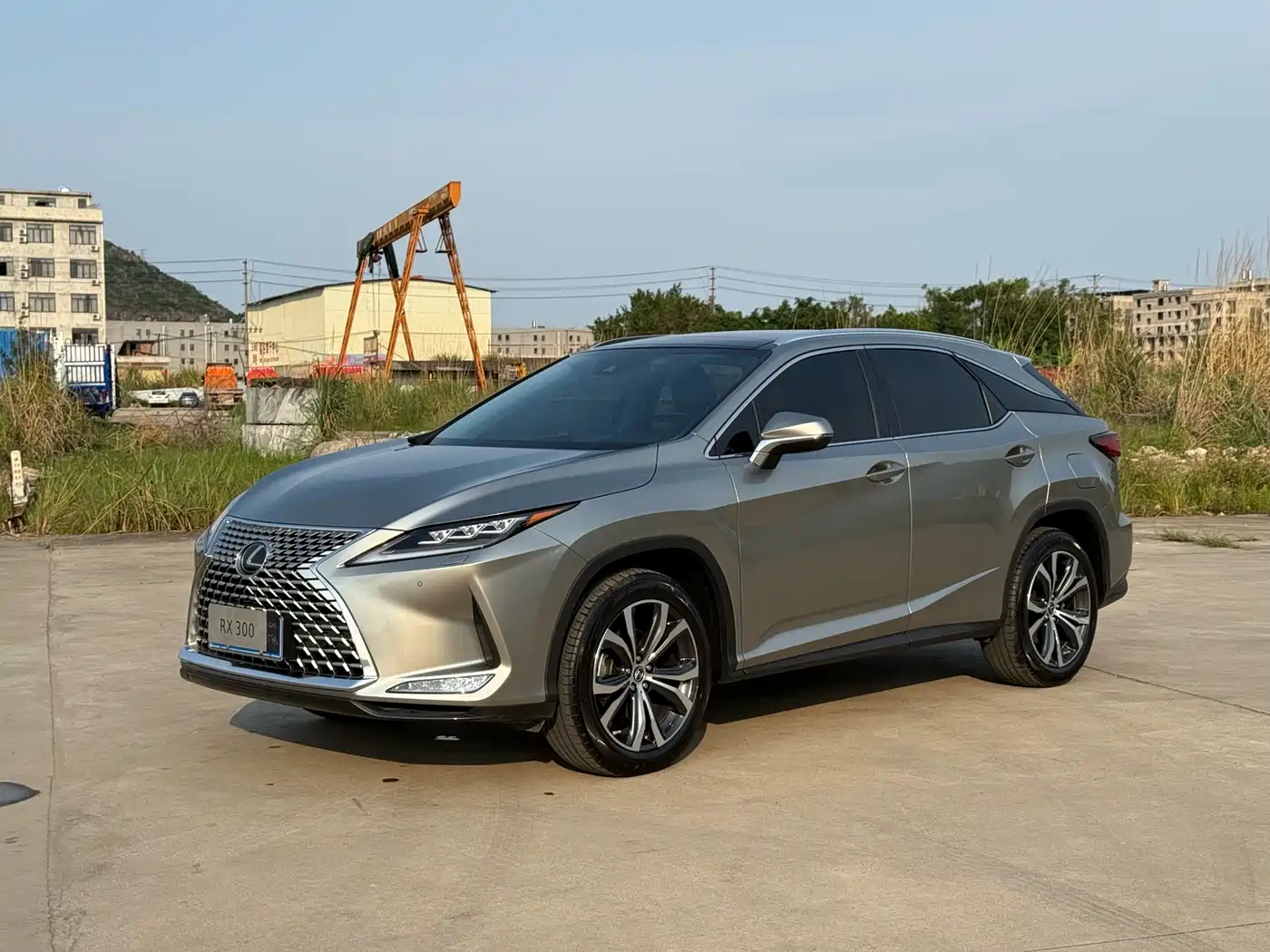 Lexus RX 2021 300 AWD Special Edition