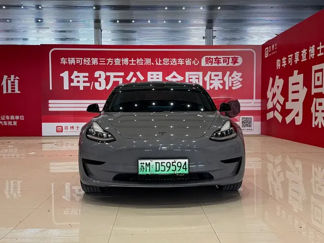 Tesla Model 3 2019 Standard Range Rear-Wheel Drive Upgrade