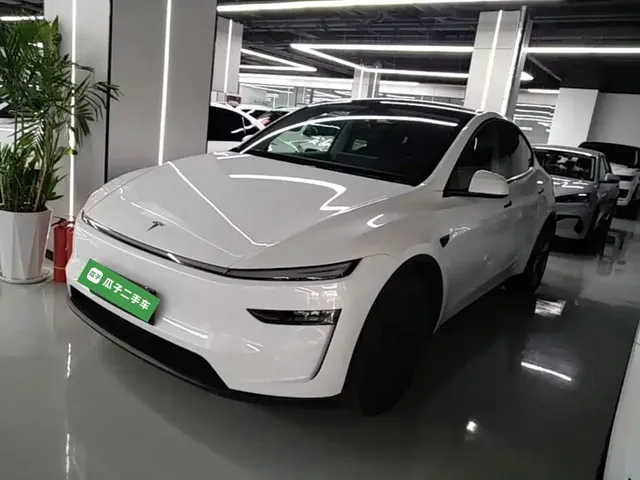 Tesla Model Y 2025 Model Rear-Wheel Drive Launch Edition