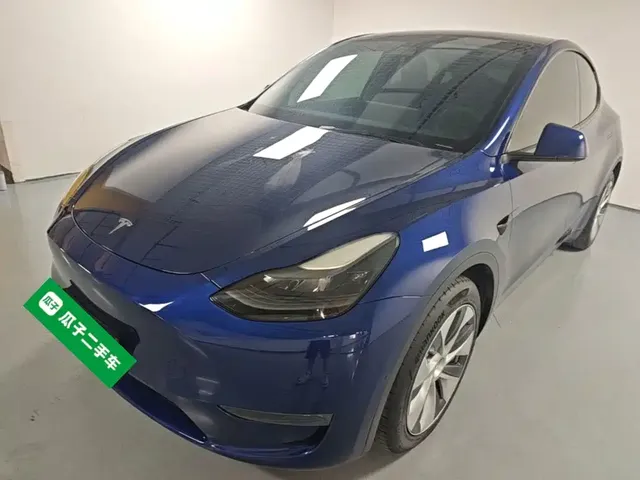 Tesla Model Y 2021 Standard Range Rear-Wheel Drive