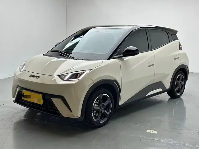 BYD Seagull 2024 Glory Edition 305km Freedom Edition