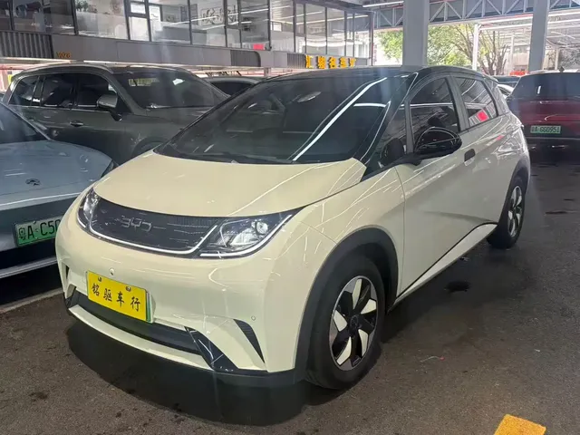 BYD Dolphin 2024 Glory Edition 420km Fashion Edition