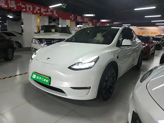Tesla Model Y 2022 Performance High-Performance All-Wheel Drive Version