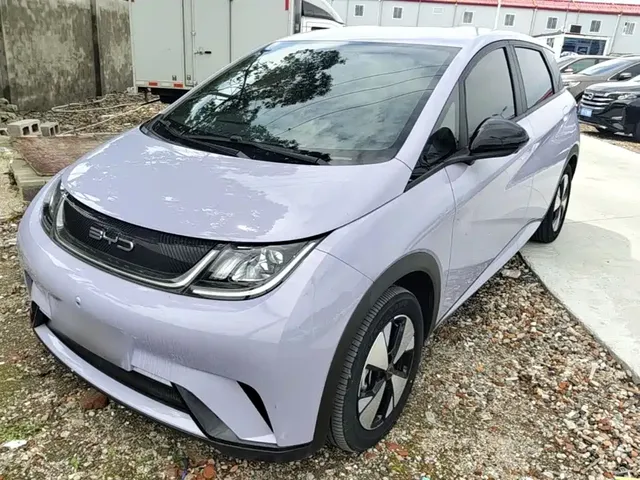 BYD Dolphin 2023 420km Freedom Edition