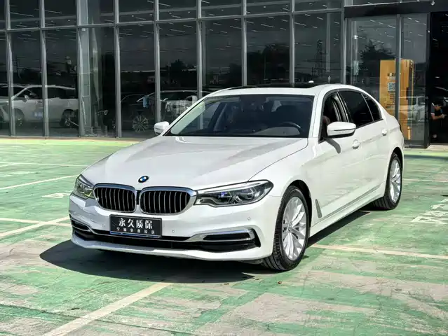 BMW 5 Series 2020 530Li Leading Luxury Package