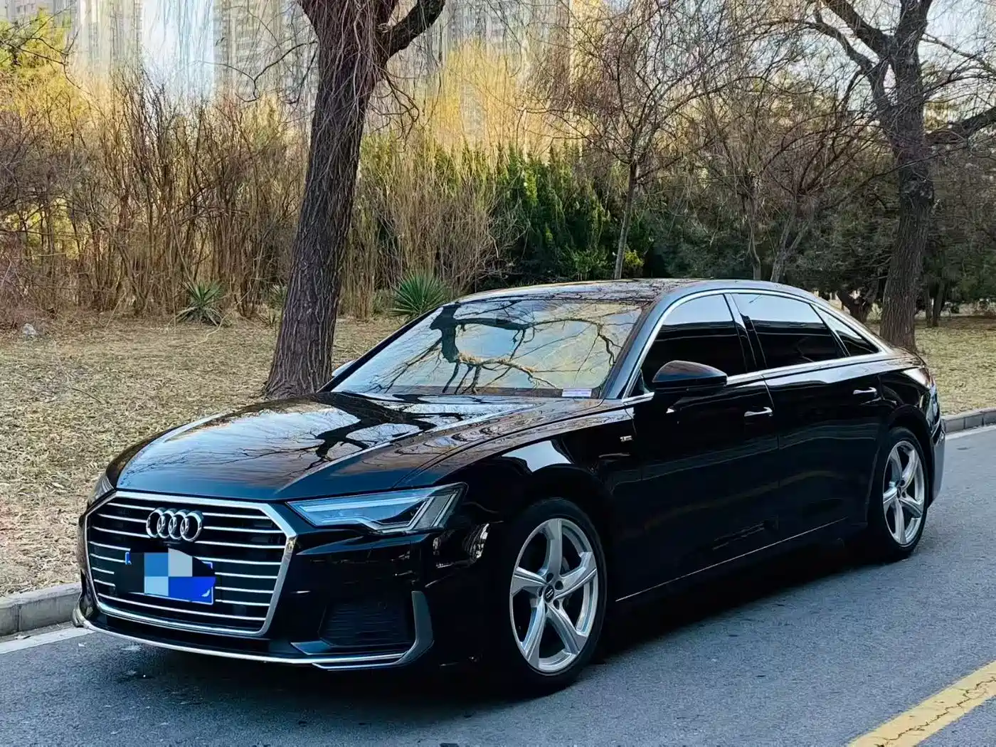 Audi A6L 2019 40 TFSI Luxury Dynamic