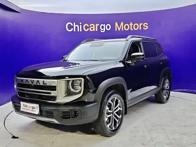 Haval Big Dog 2024 1.5T DCT Border Collie Edition