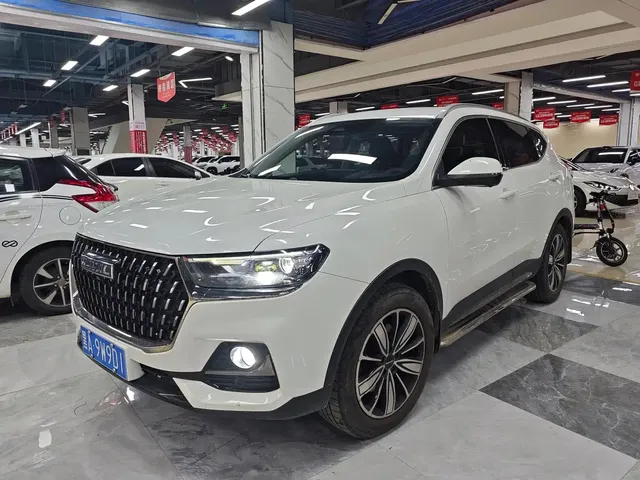 Haval H6 2023 National Trend Edition 1.5T Automatic Champion