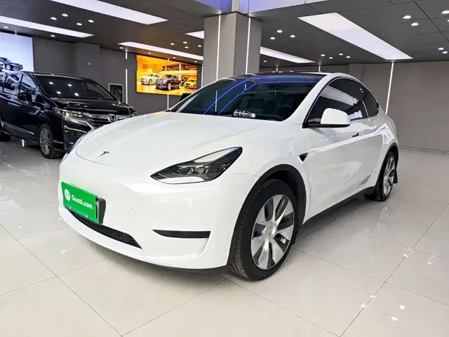 Tesla Model Y 2022 Facelift Rear-Wheel Drive Version