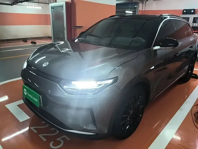 Leapmotor C11 2021 Luxury Edition