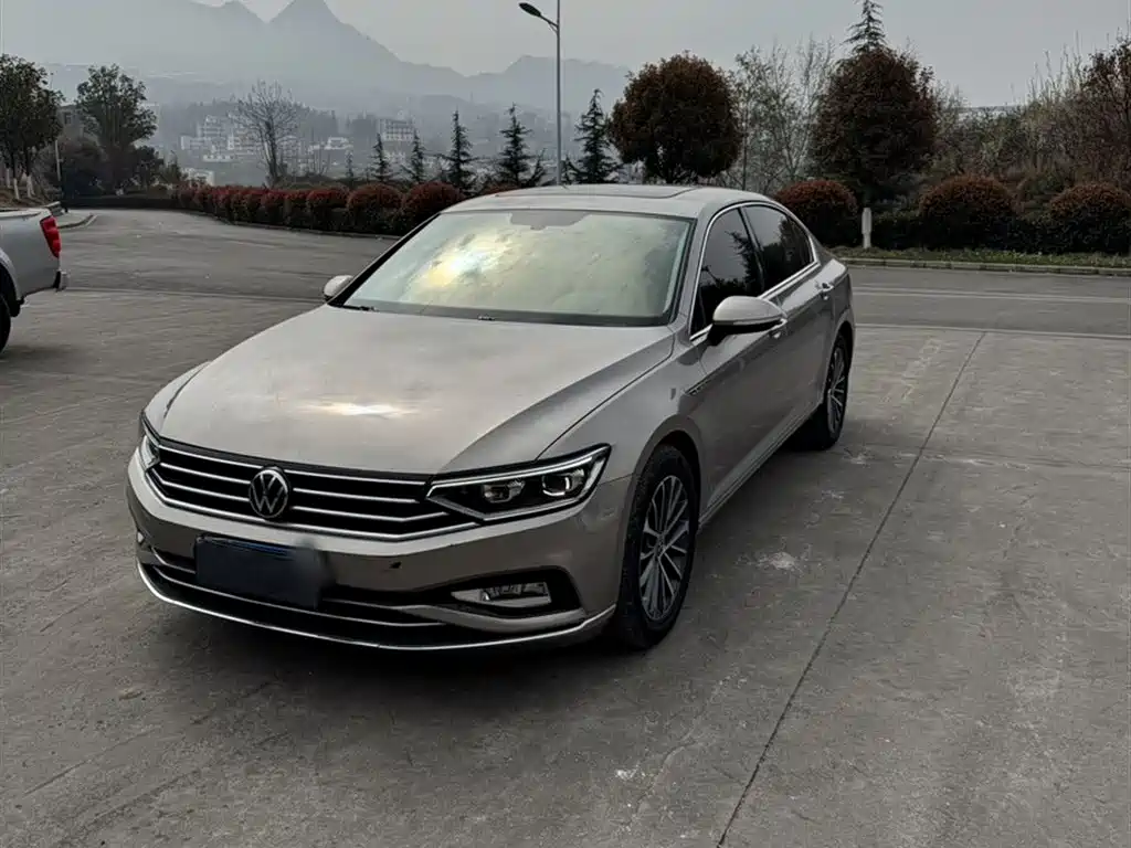 Volkswagen Magotan 2020 330TSI DSG Luxury