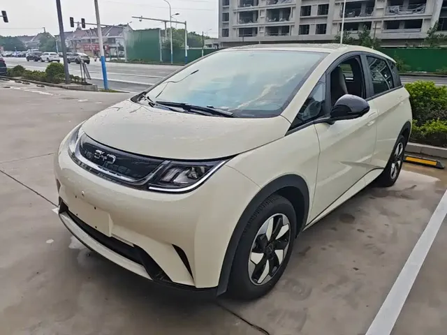 BYD Dolphin 2025 420km Freedom Edition