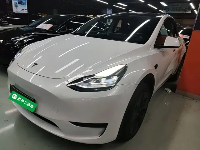 Tesla Model Y 2024 Rear-Wheel Drive Version