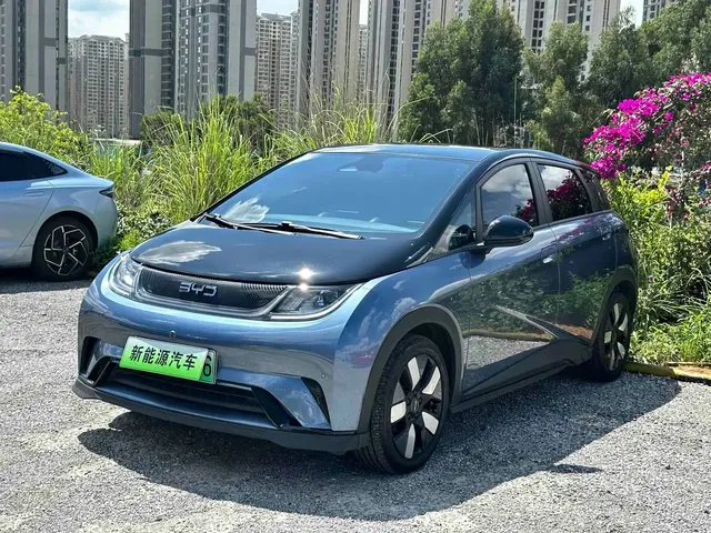 BYD Dolphin 2024 Glory Edition 401km Knight Edition