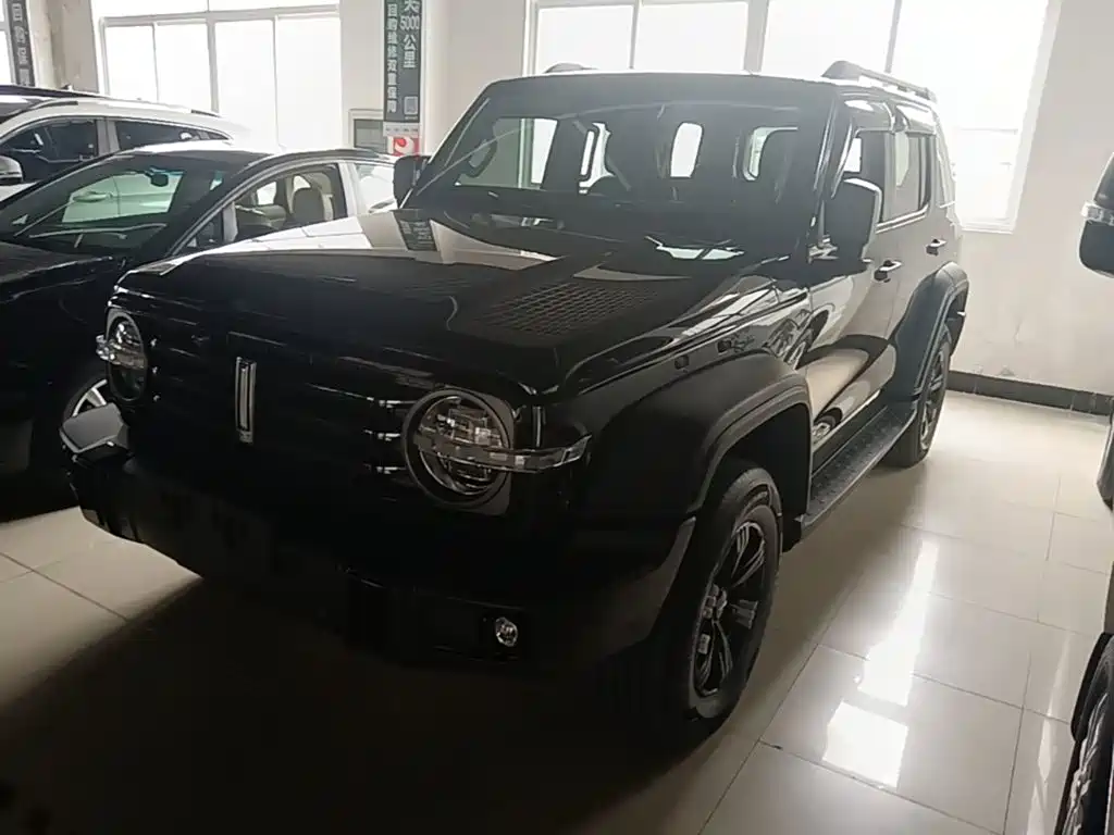Tank 300 2021 Off-road Version 2.0T Conqueror