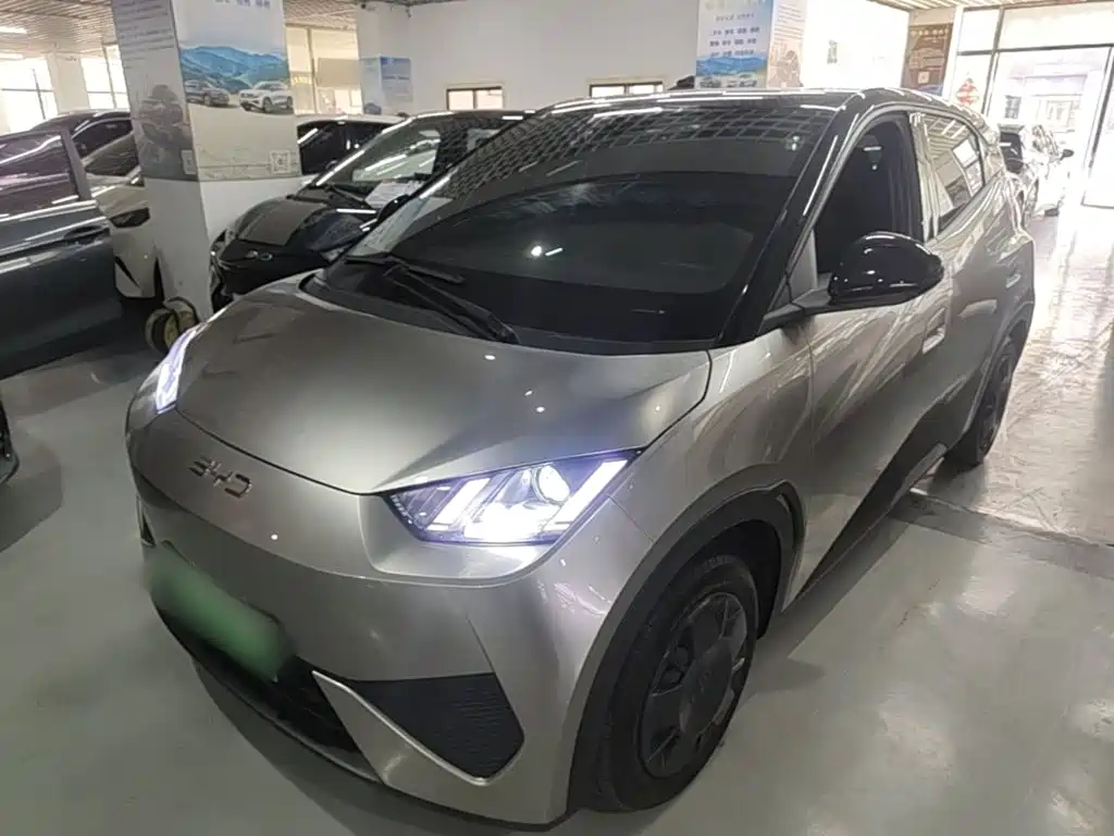 BYD Seagull 2025 Smart Drive Edition 305km Vitality Version