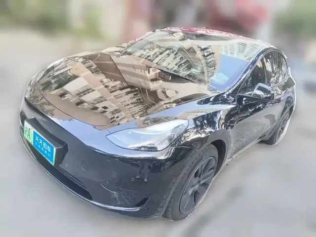 Tesla Model Y 2023 Rear-Wheel Drive Edition