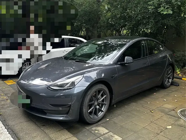 Tesla Model 3 2022 Model Rear-Wheel Drive Version