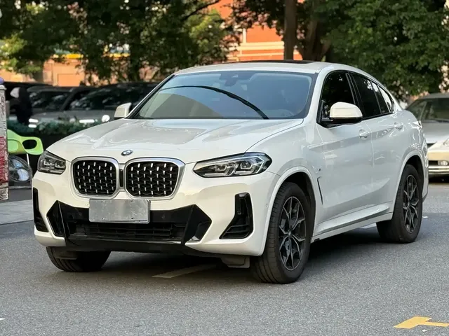 BMW X4 2022 xDrive 25i M Sport Package